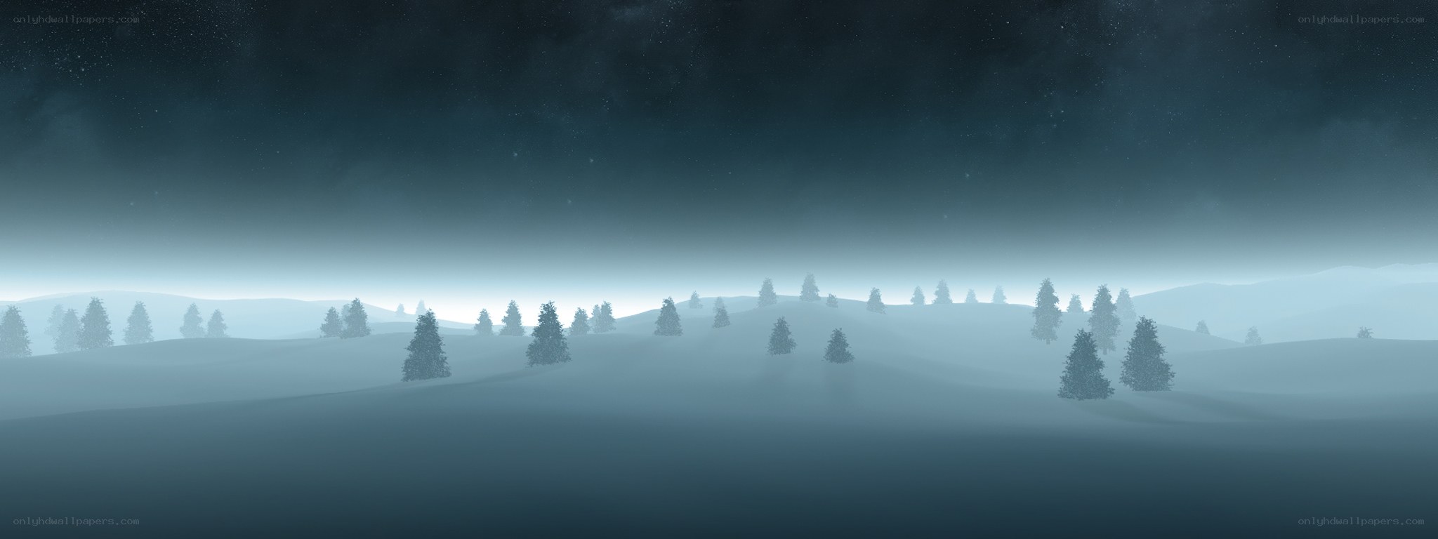 foggy winter forest landscape