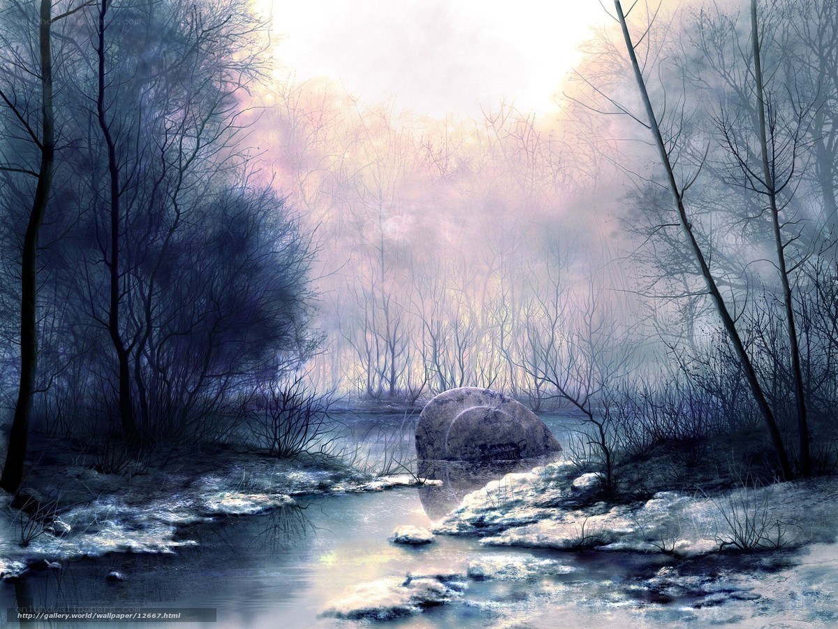 foggy winter forest stream