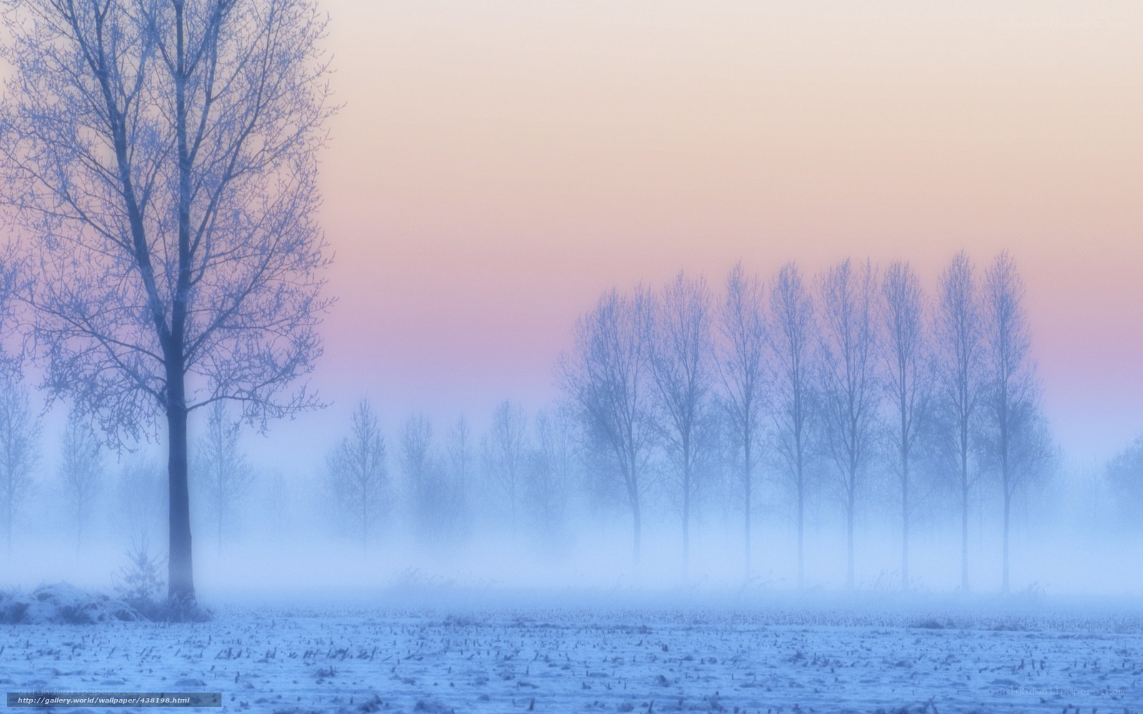 Foggy winter landscape at dawn