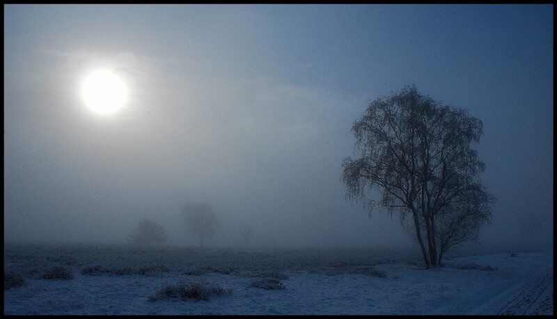 Foggy winter landscape with sun