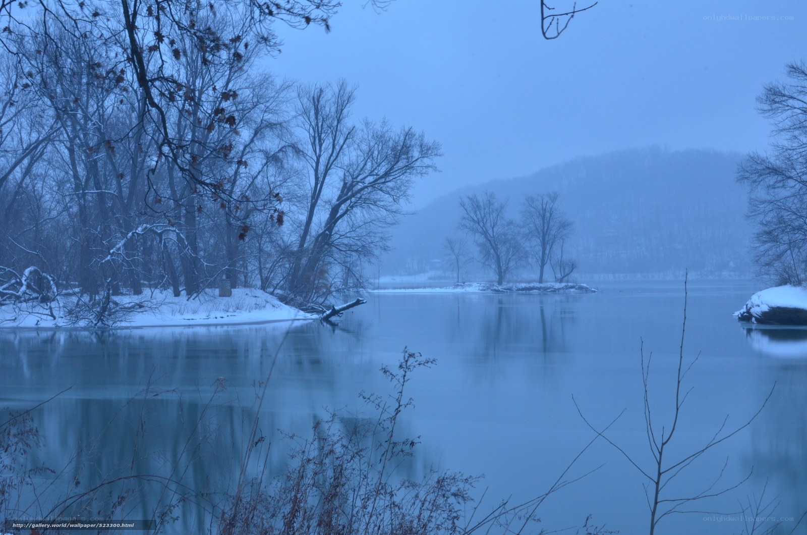 Foggy winter river landscape