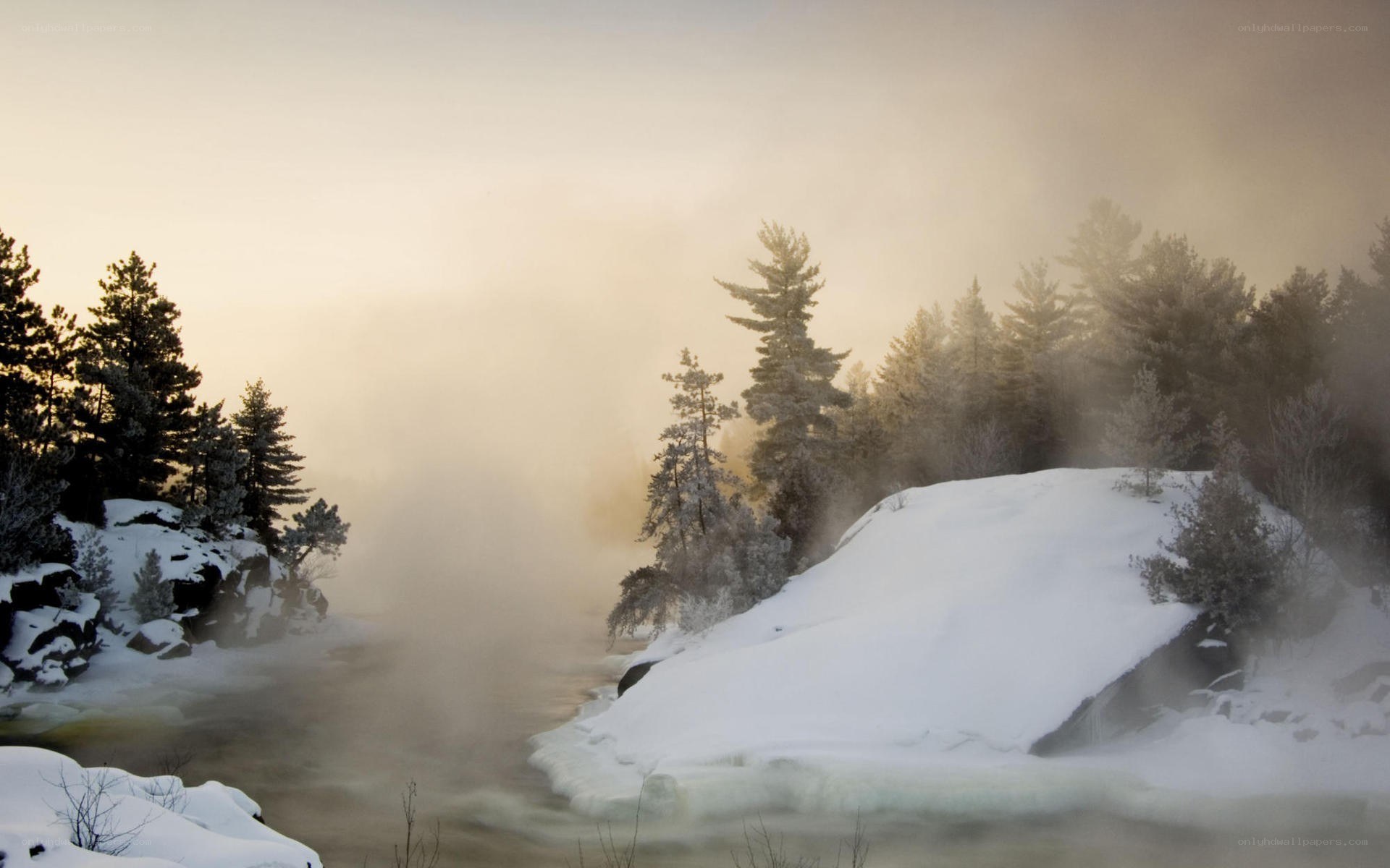 Foggy winter river landscape