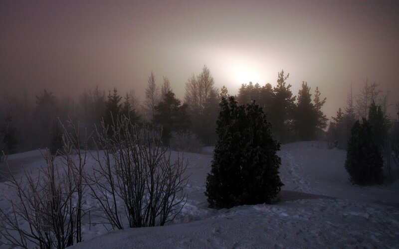Foggy winter sunrise
