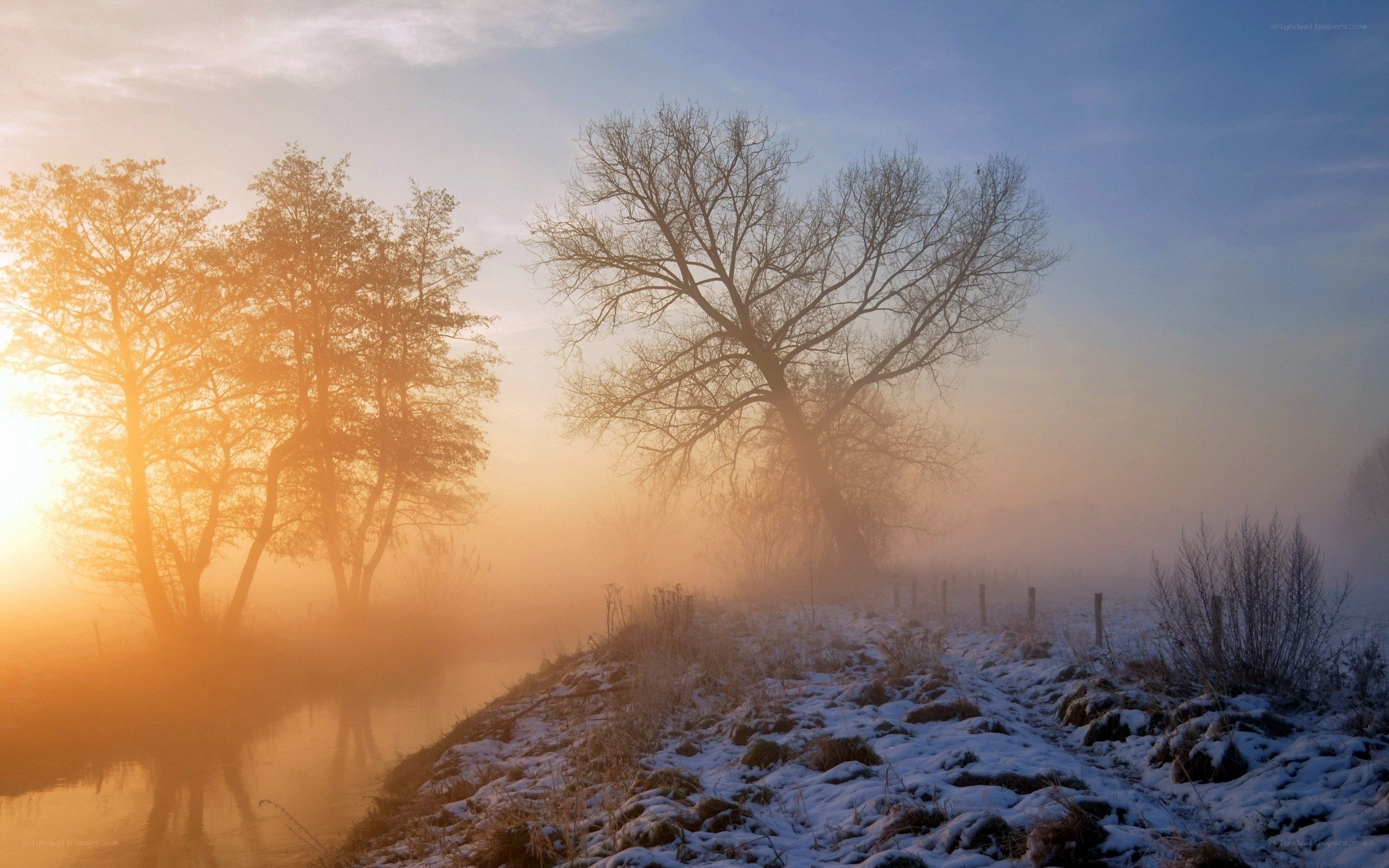 Foggy winter sunrise by the river