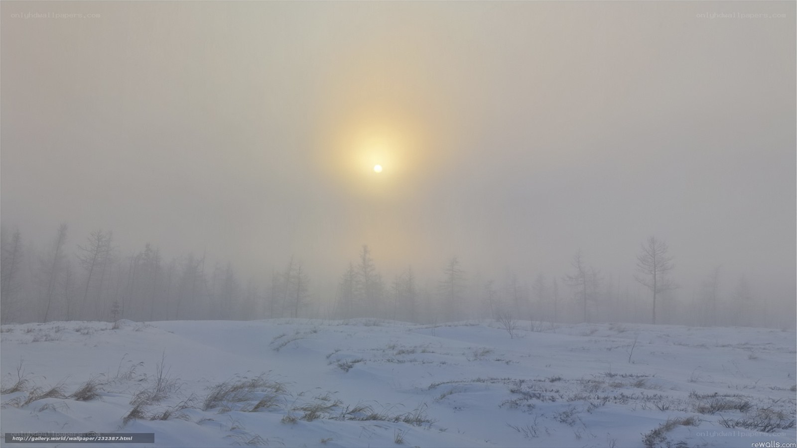 Foggy winter sunrise