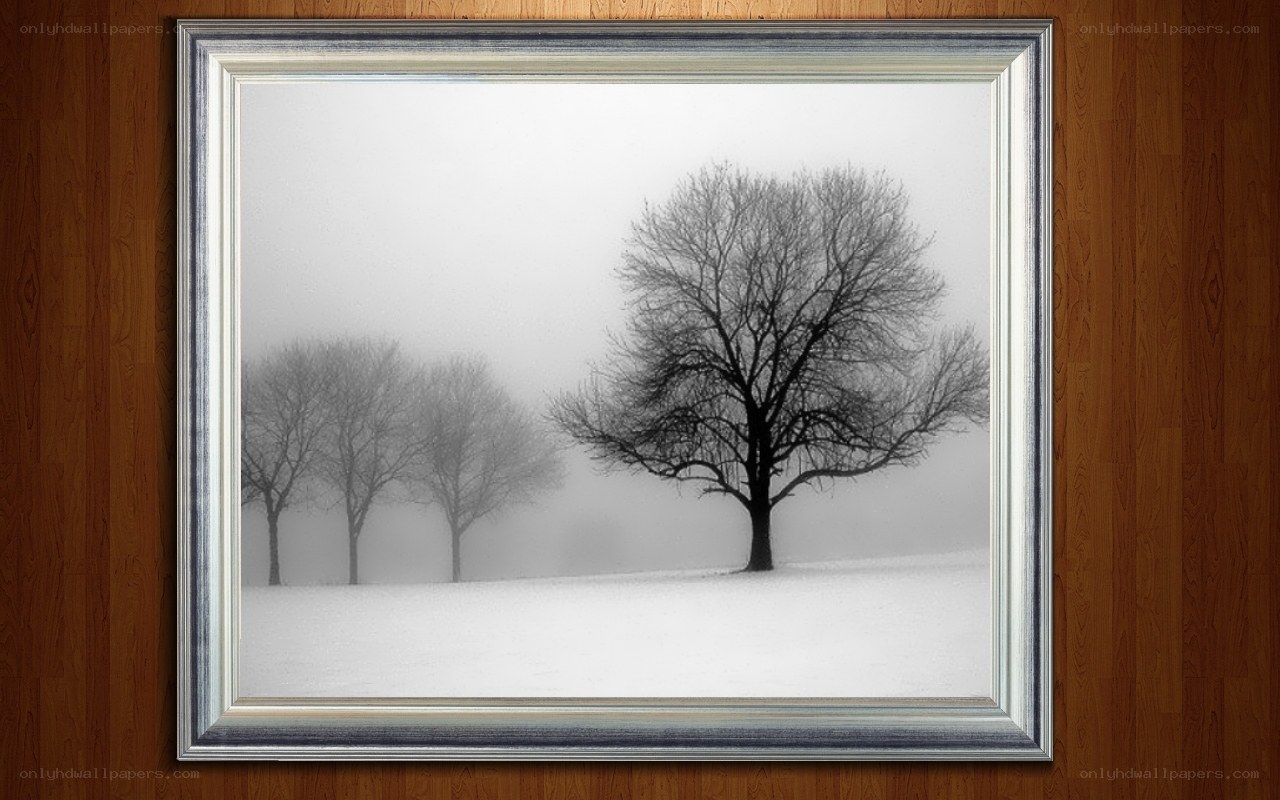 Foggy winter trees