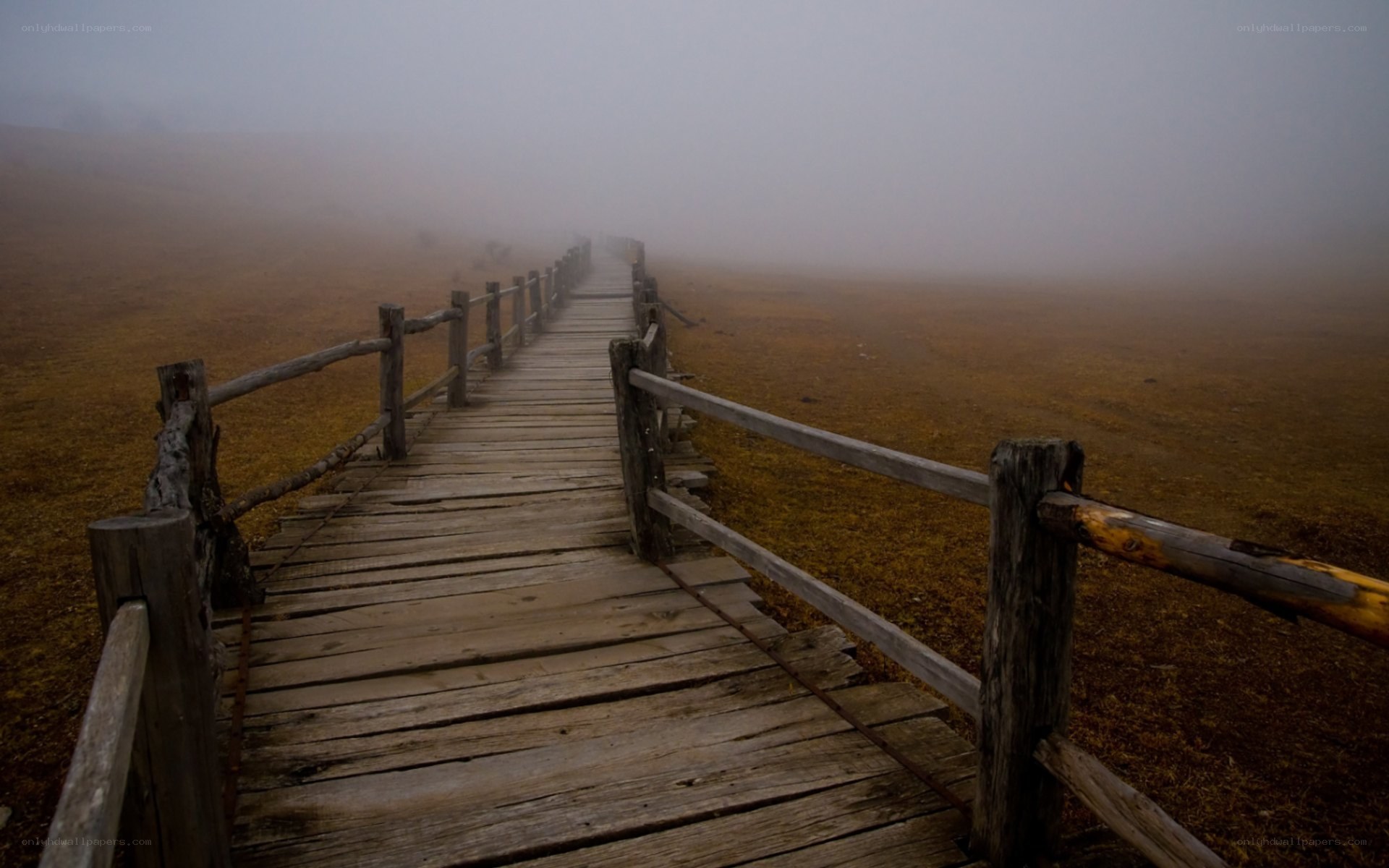Foggy wooden boardwalk