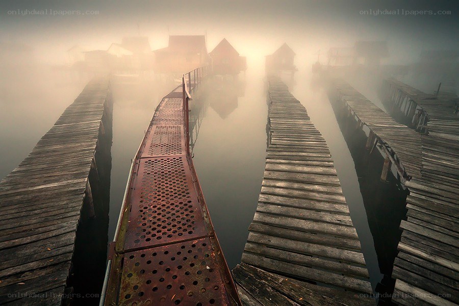 Foggy wooden docks at dawn