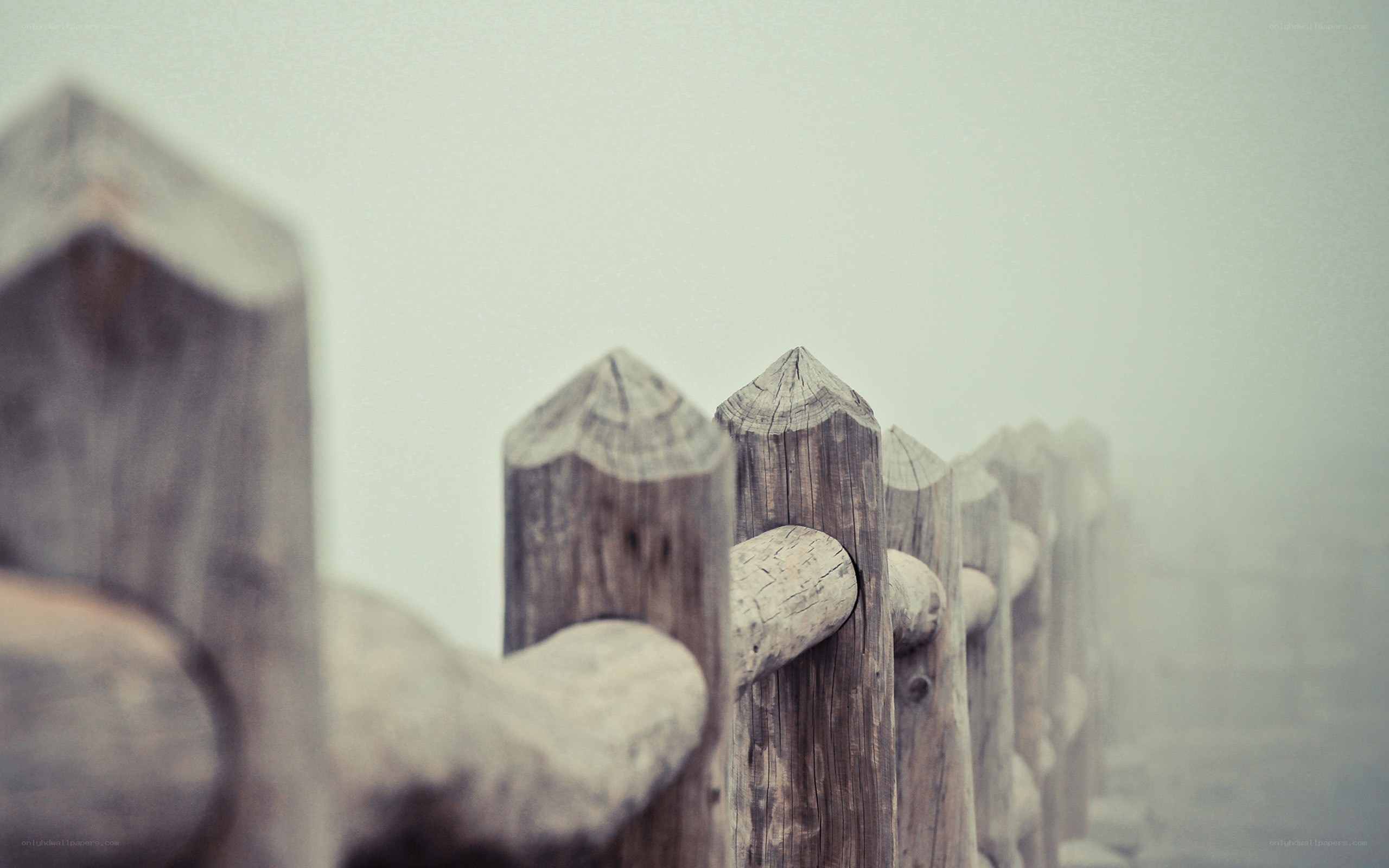 foggy wooden fence posts