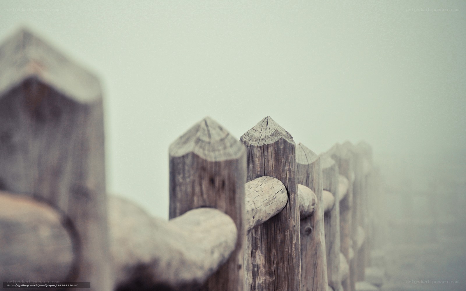 Foggy wooden fence posts