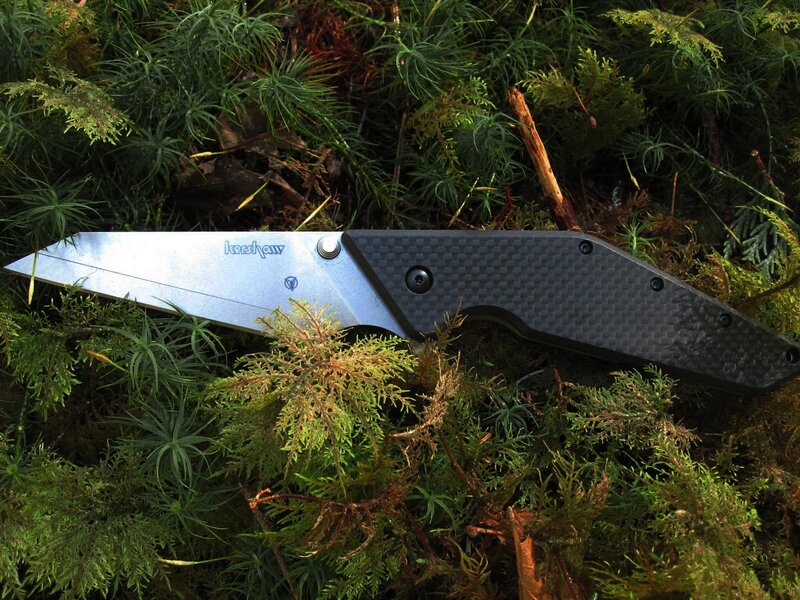 folding knife in moss