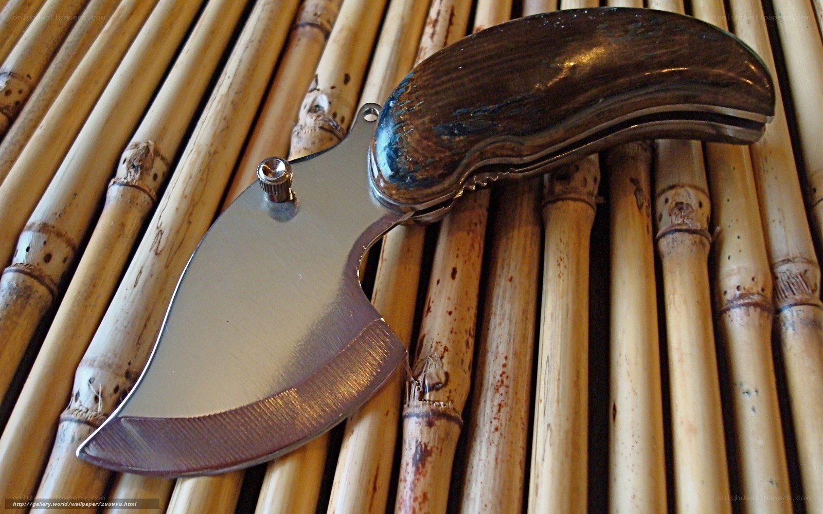 folding knife on bamboo