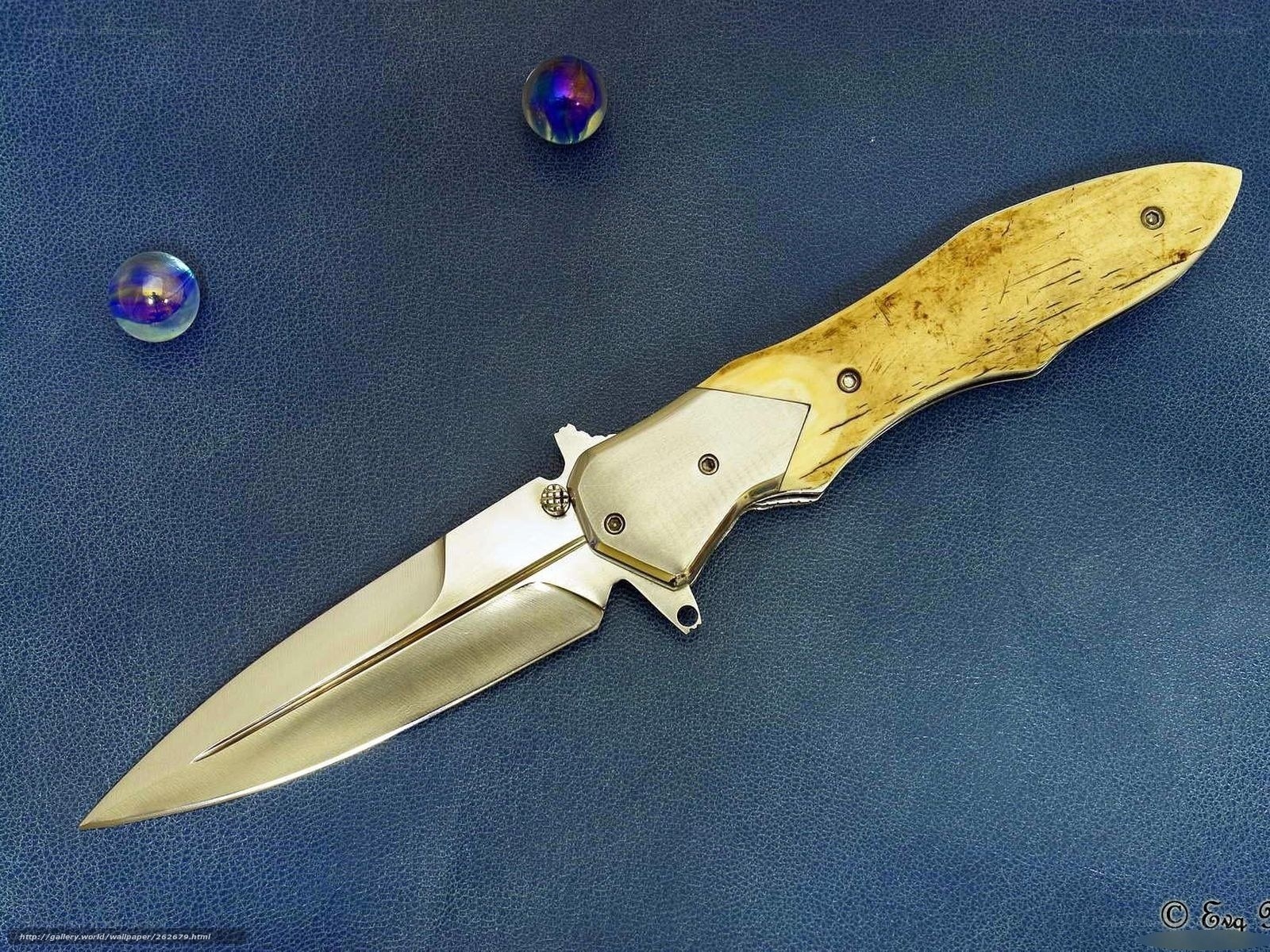 folding knife with bone handle