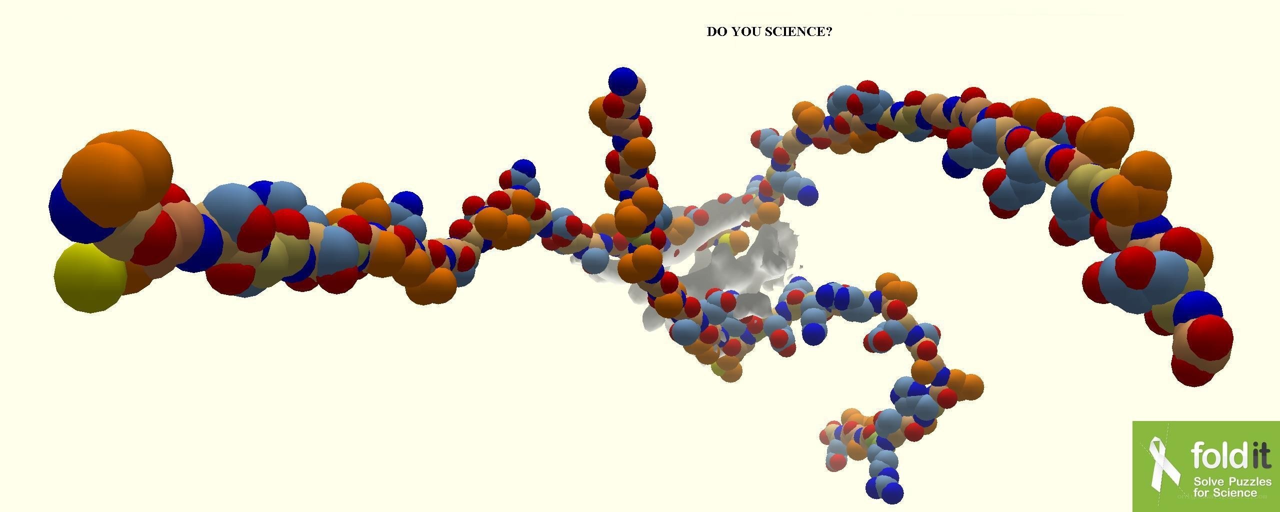 Foldit protein folding puzzle