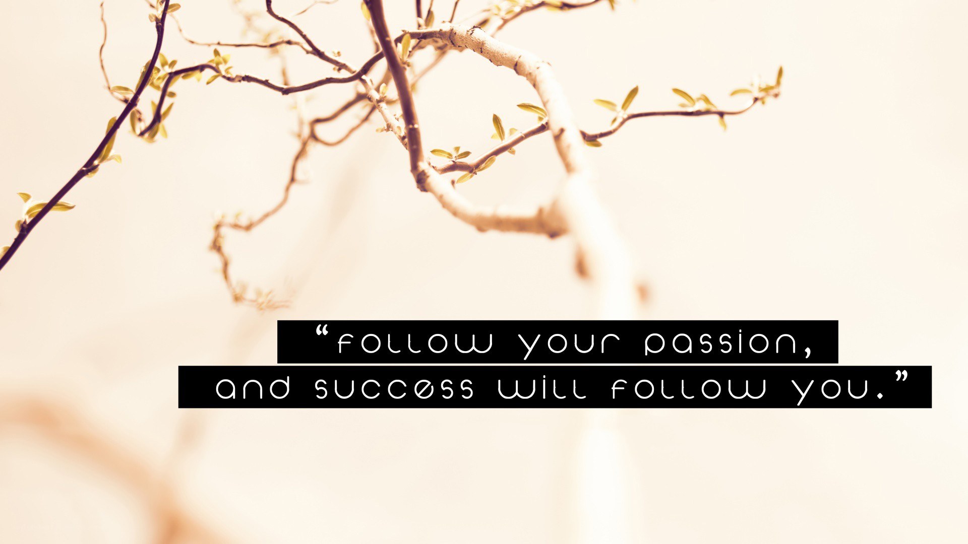 follow your passion quote