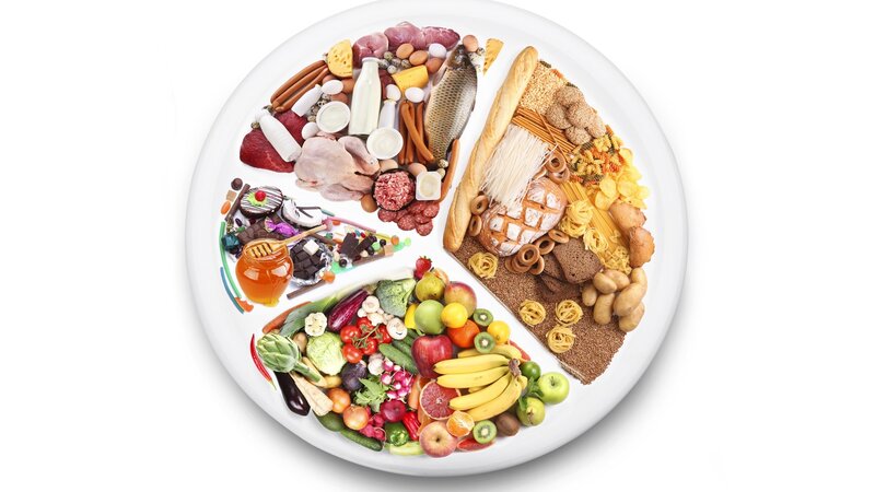 Food Plate Diagram