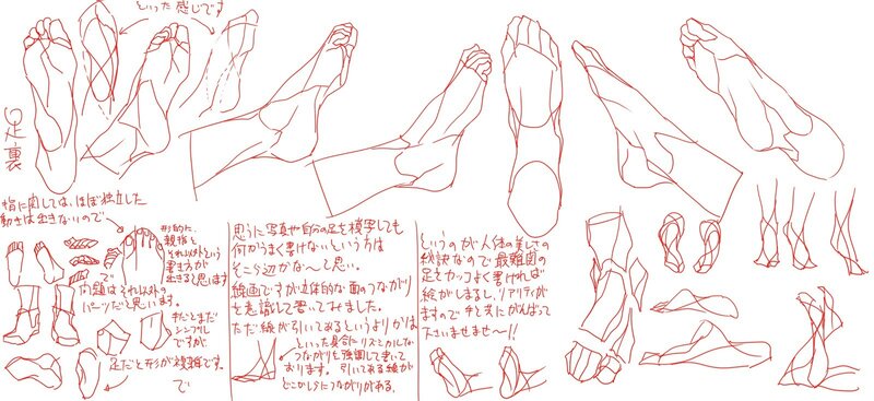 Foot anatomy drawing study