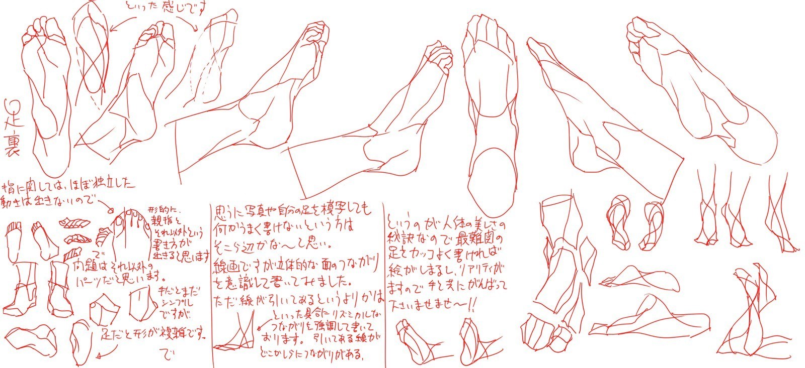 Foot anatomy drawing study