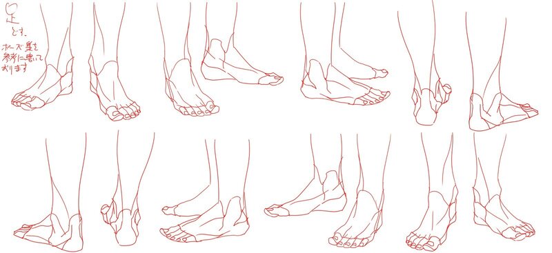 foot anatomy reference drawings