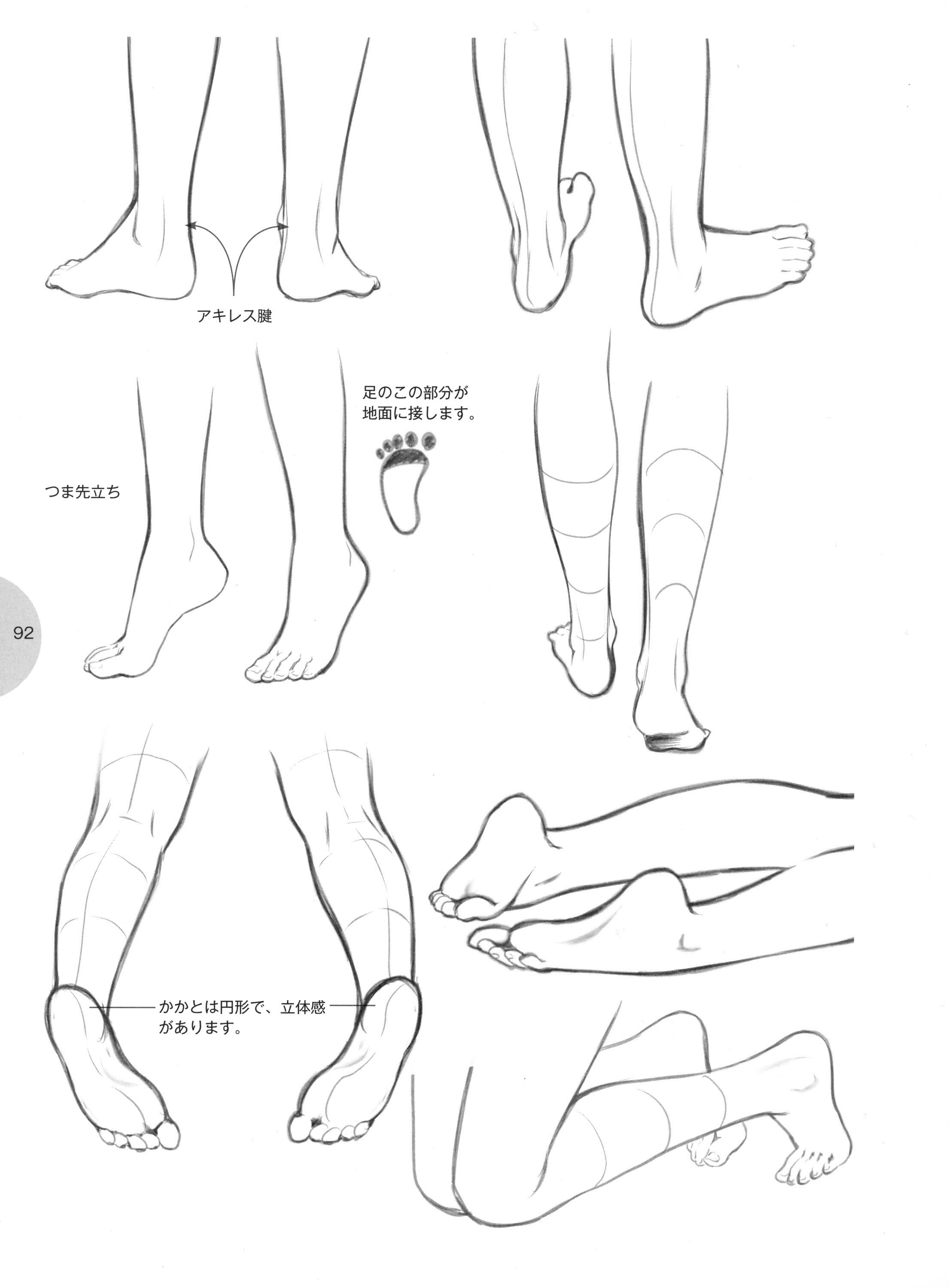foot anatomy reference guide