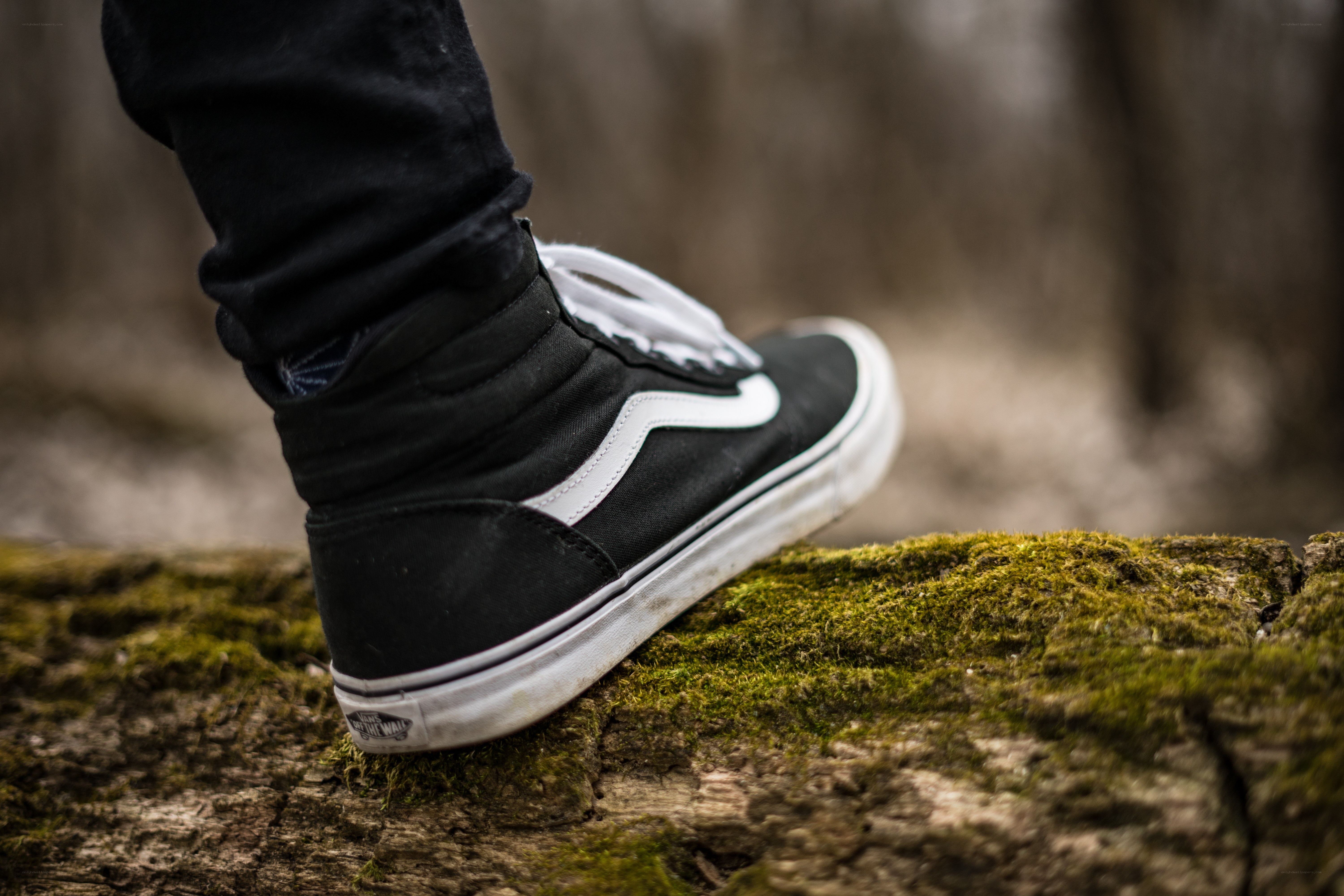 foot on mossy log