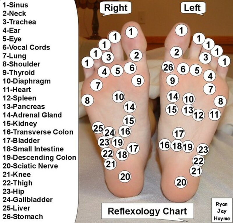 Foot Reflexology Chart
