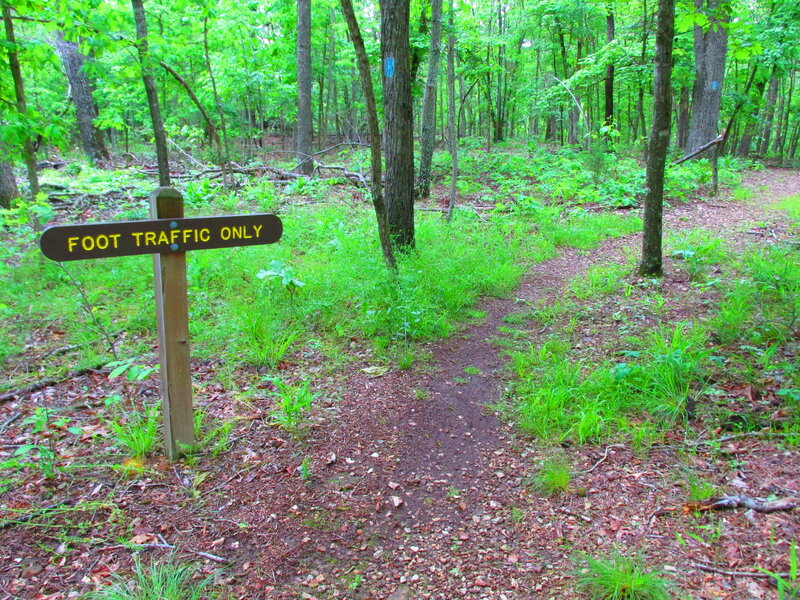 Foot Traffic Only Sign