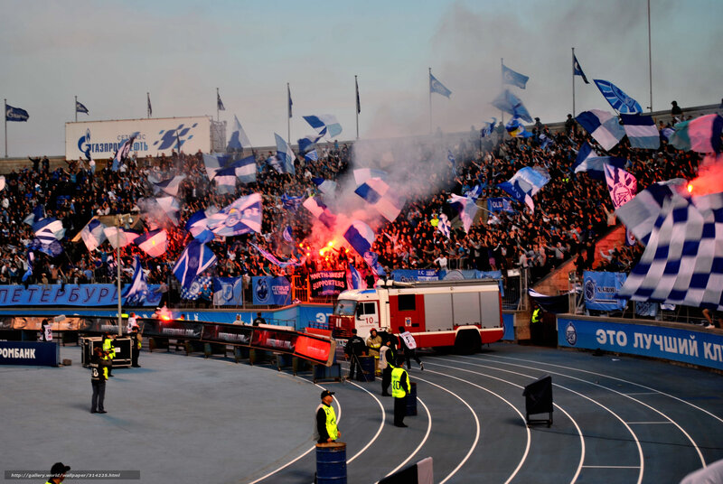 Football fans celebrating in stadium