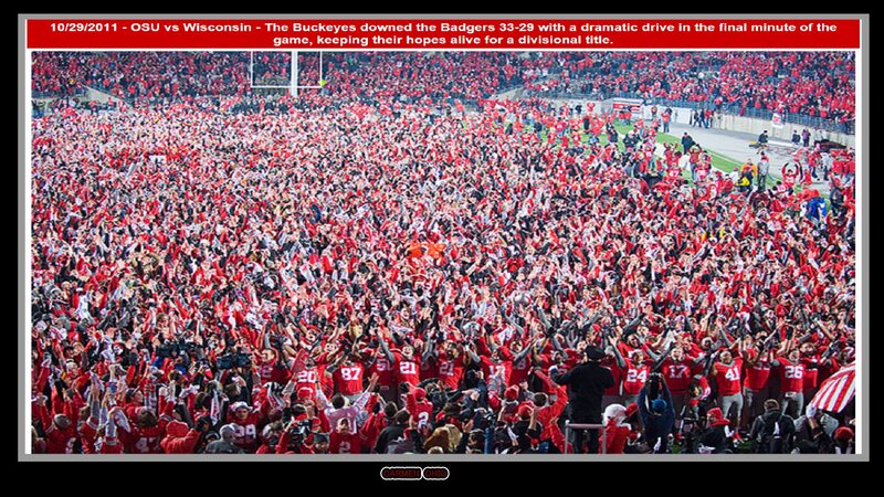 Football Fans Celebrating
