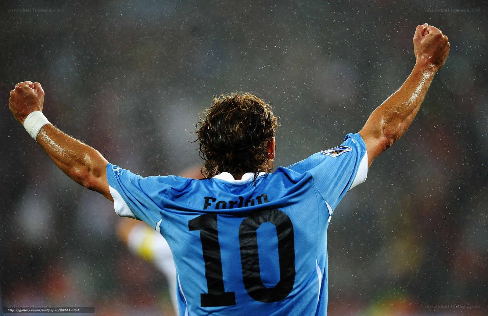 football player celebrating victory