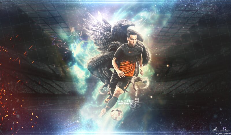 Football Player with Bird — Black