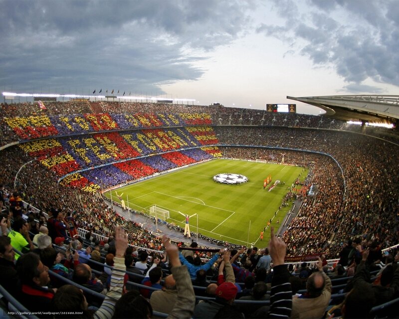 Football stadium crowd display