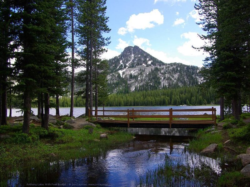 Footbridge at Anthony Lake