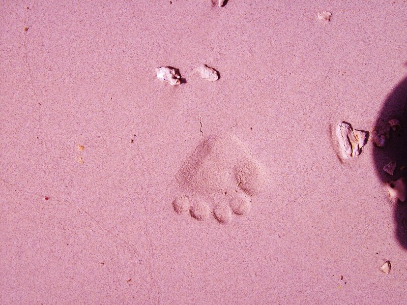 Footprint in Pink Sand