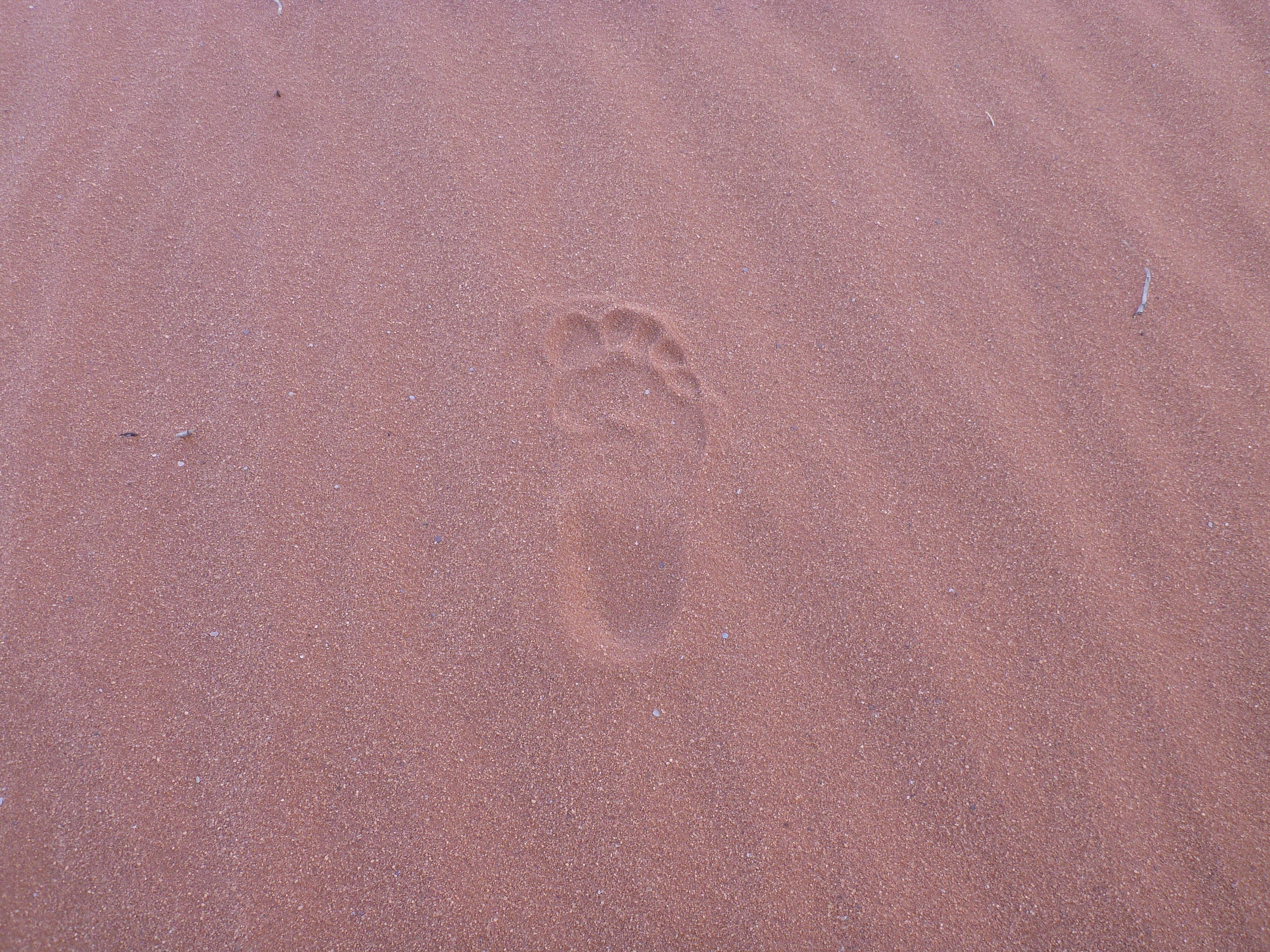 footprint in red sand