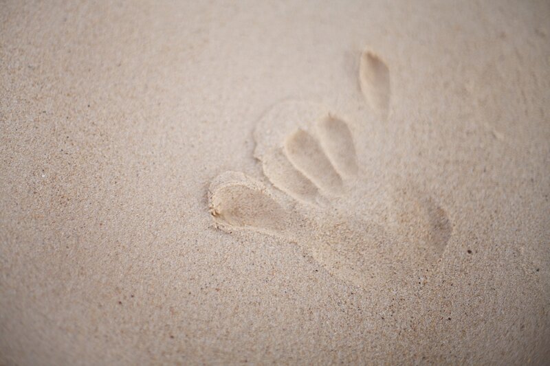 Footprint in Sand — Beige