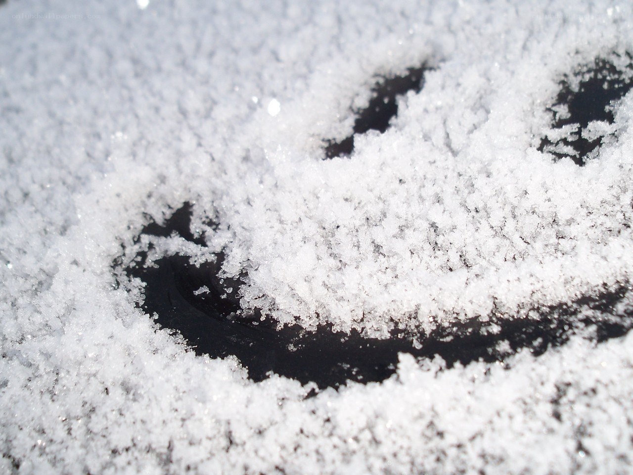 footprint in snow