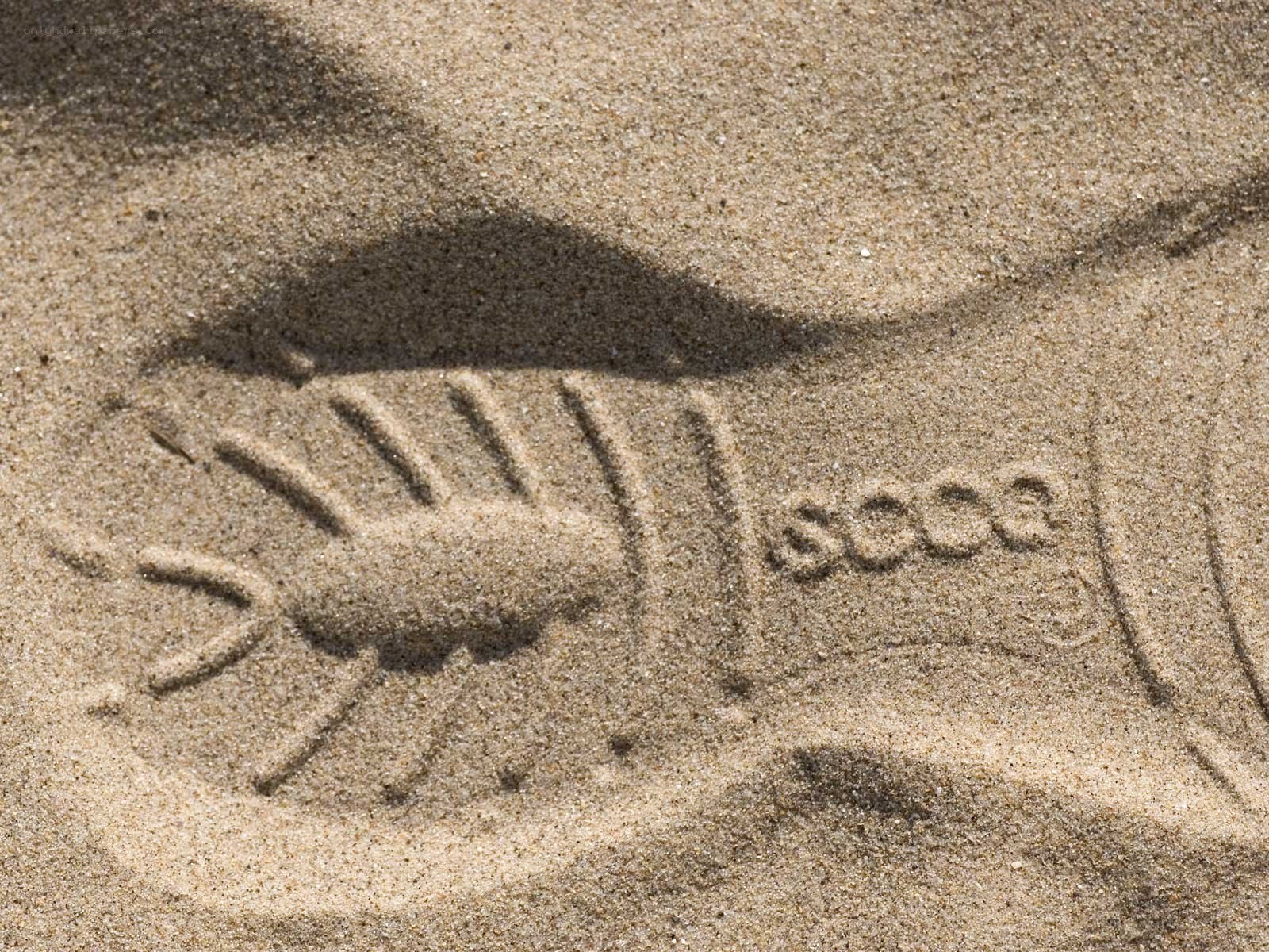 footprint in the sand