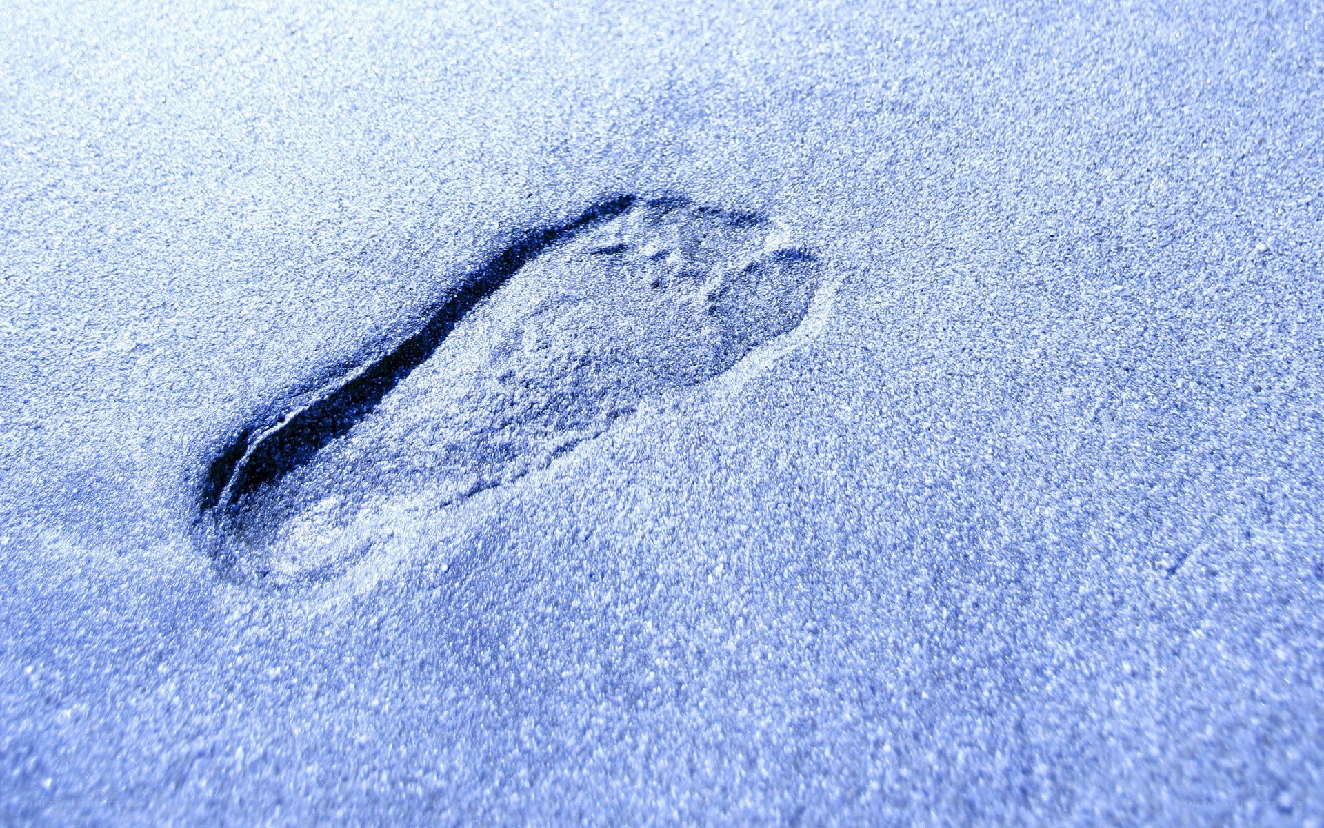 footprint in the sand