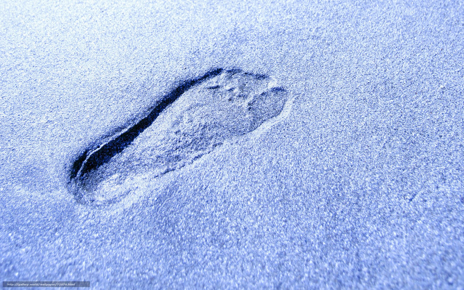 footprint in the sand