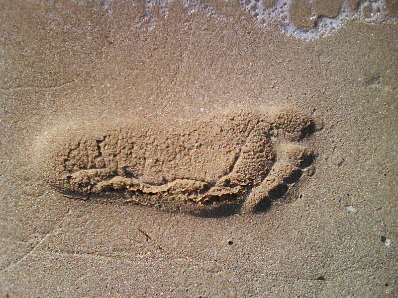 Footprint in Wet Sand
