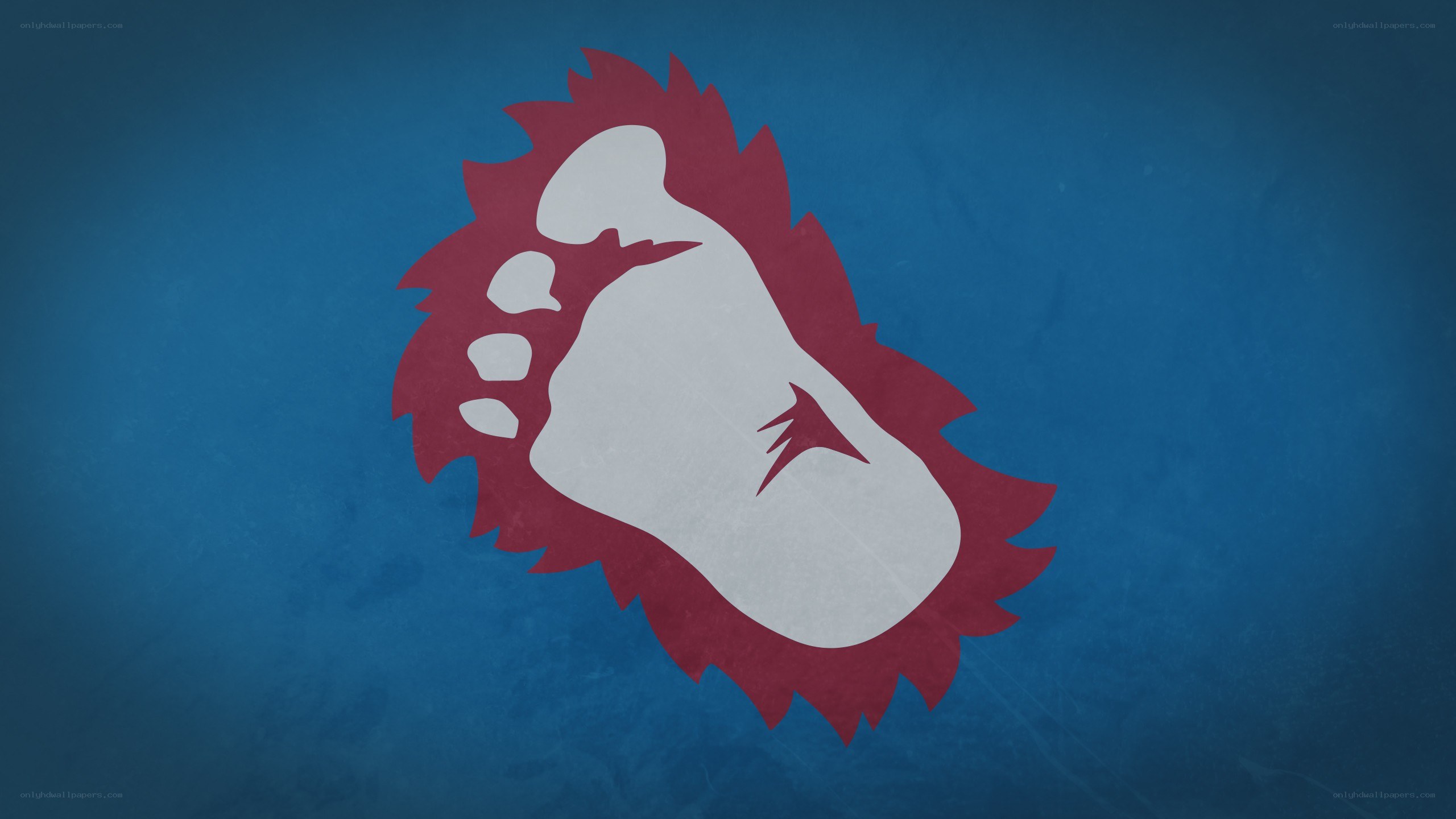 footprint logo on blue