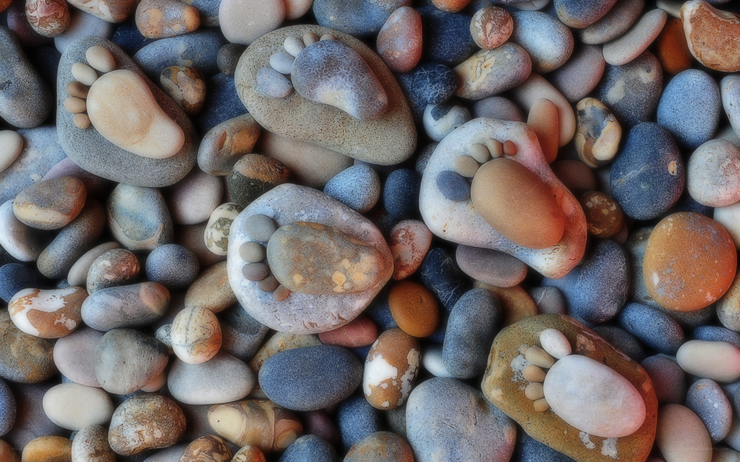 Footprint stones on beach