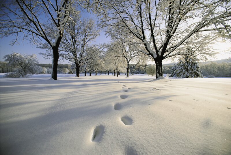 Footprints in a snowy landscape