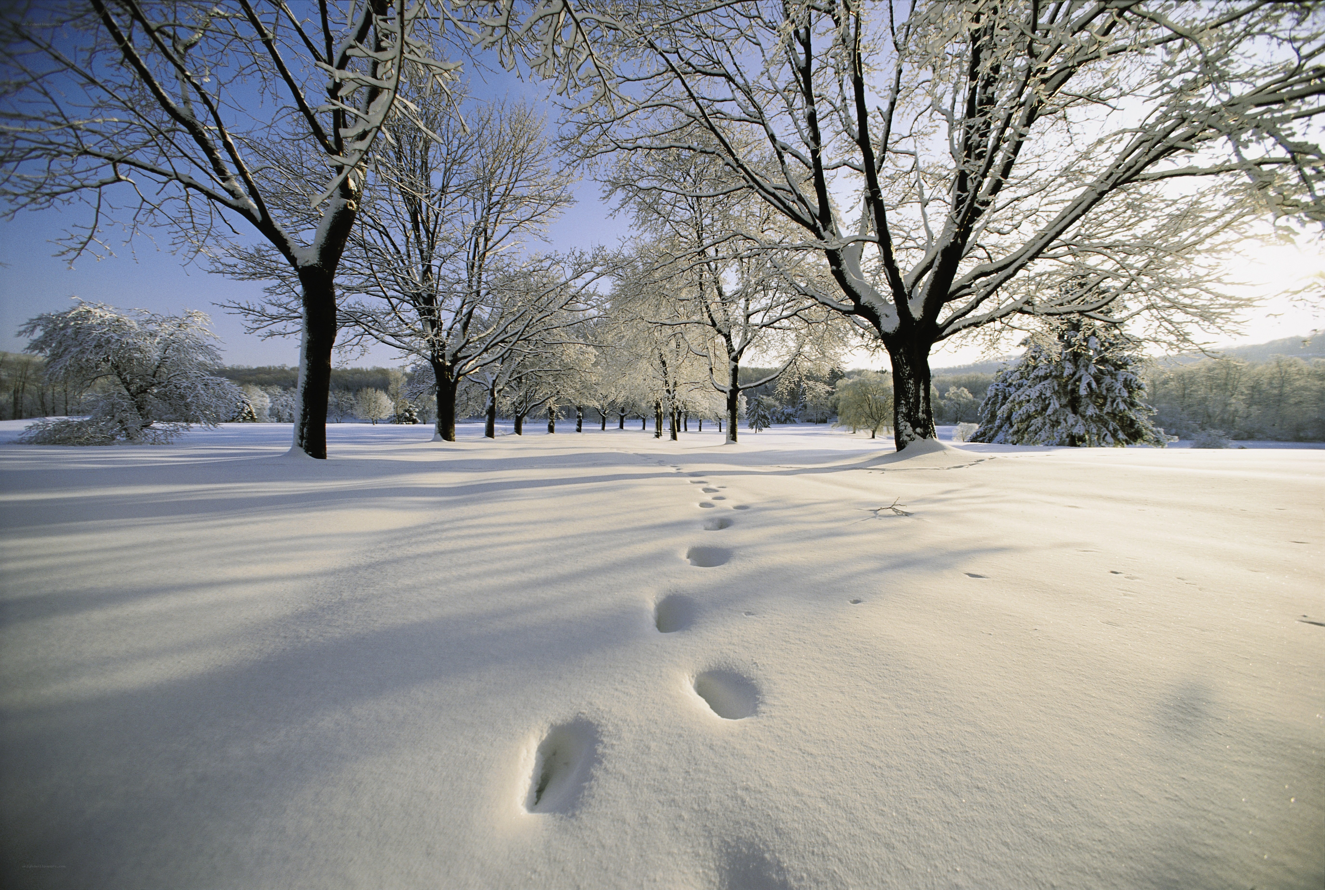 Footprints in a snowy landscape