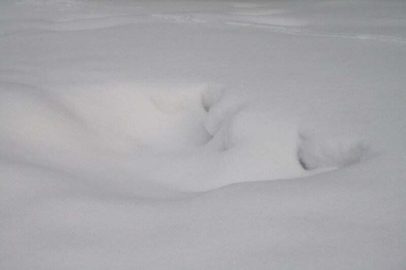 footprints in deep snow