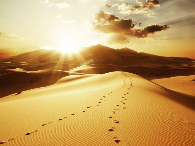 Footprints in Desert Sand — Gold