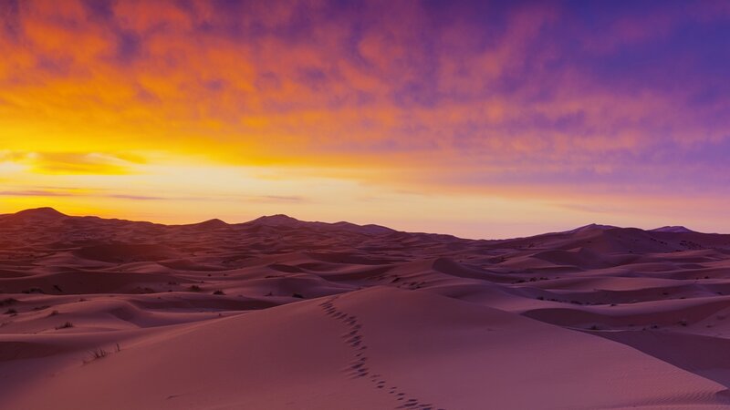 Footprints in Desert Sand — Purple