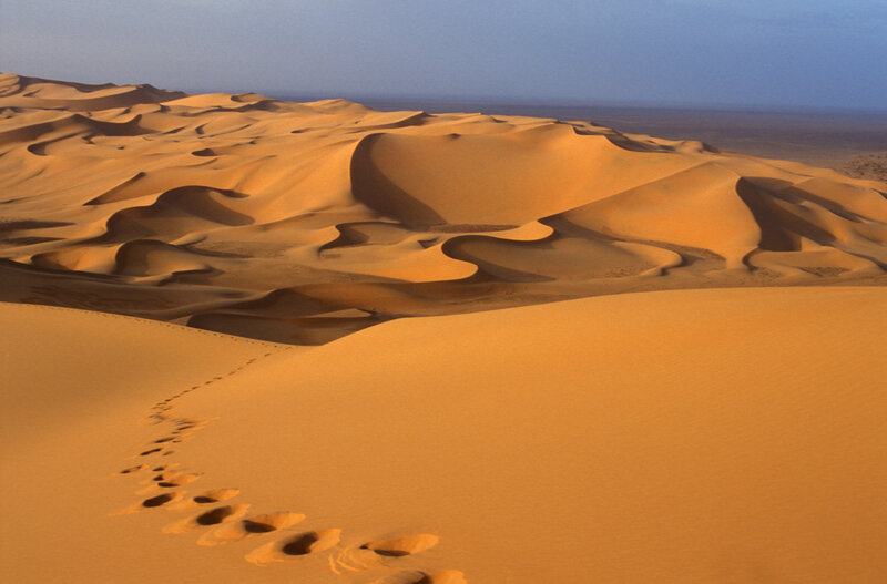 Footprints in Desert Sand