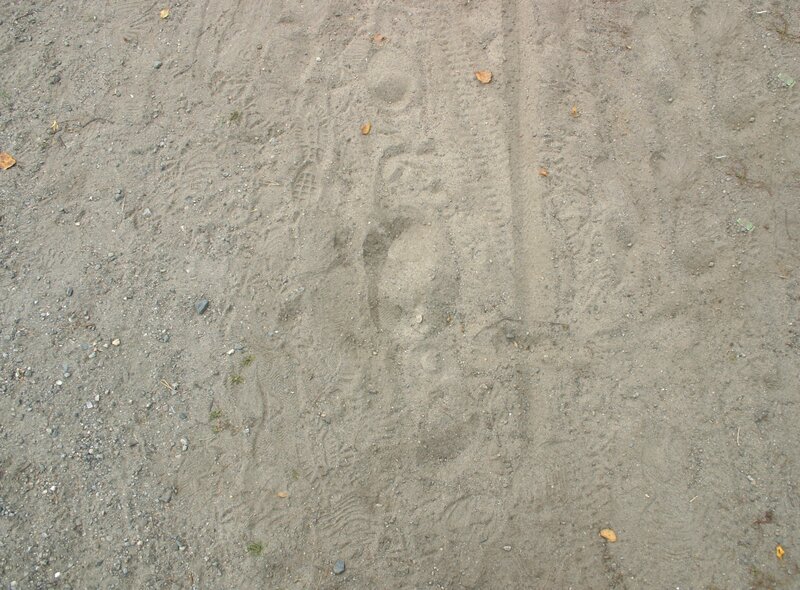 footprints in dirt